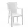 Silla Resina Ratan Respaldo Alto Blanco Eden